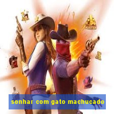 sonhar com gato machucado